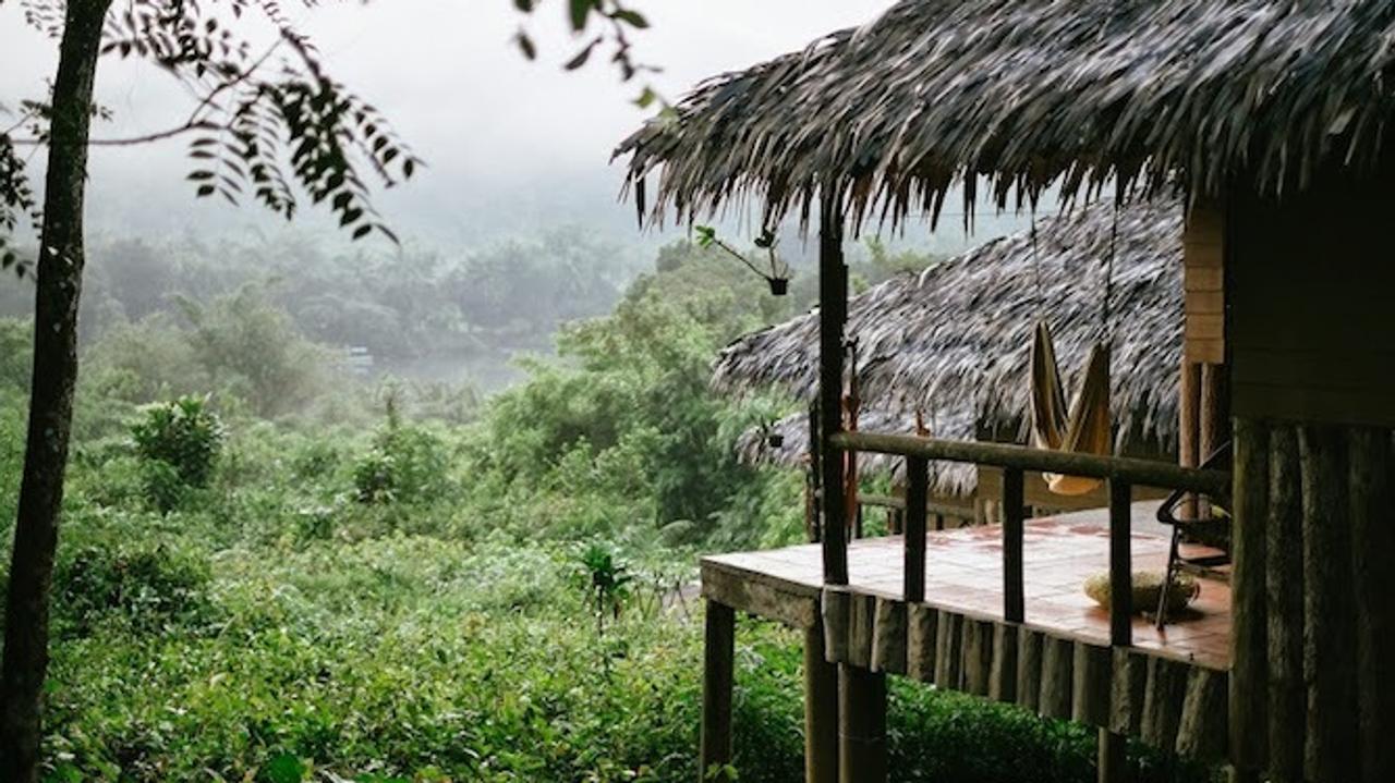 View across misty jungle at Rainbow Lodge