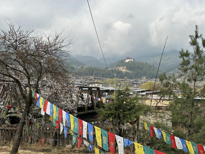 Bumthang landscape