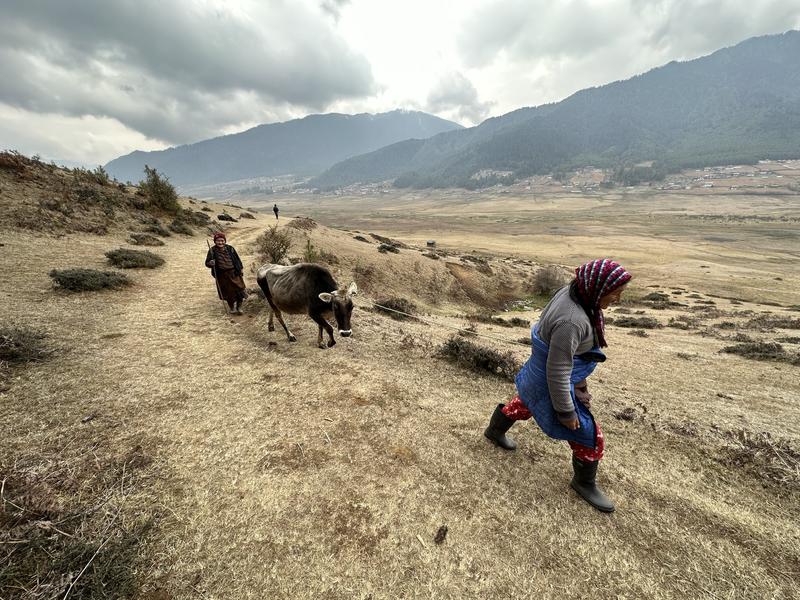 Choekhor Valley, Bhutan